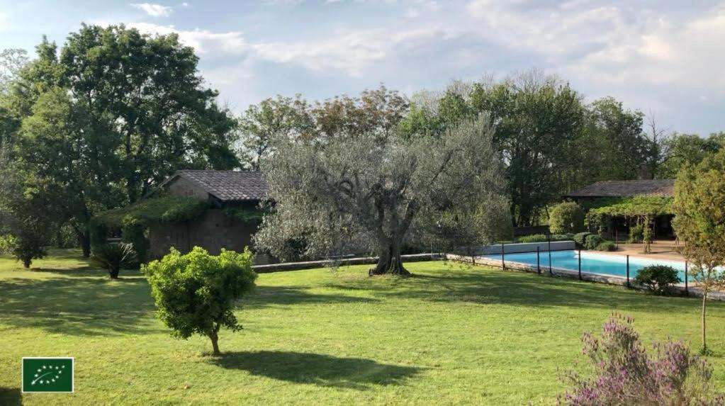 Agriturismo Eco-Bio Villa Vacasio Pitigliano Eksteriør billede