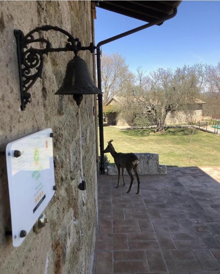 Agriturismo Eco-Bio Villa Vacasio Pitigliano Eksteriør billede