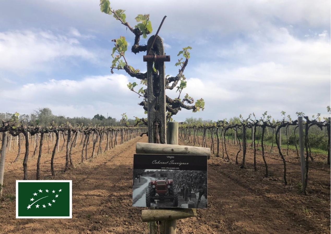Agriturismo Eco-Bio Villa Vacasio Pitigliano Eksteriør billede
