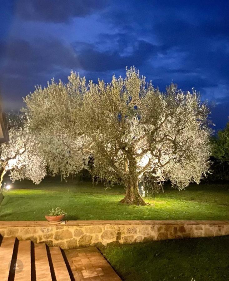 Agriturismo Eco-Bio Villa Vacasio Pitigliano Eksteriør billede