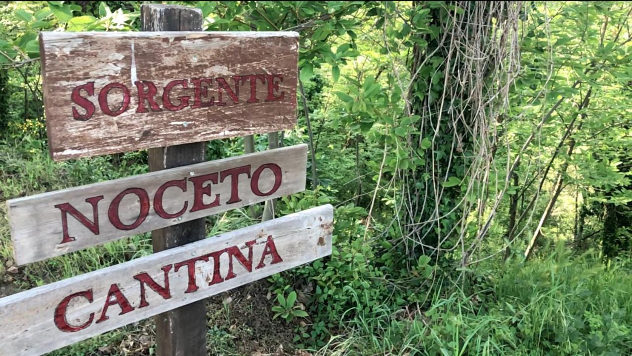 Agriturismo Eco-Bio Villa Vacasio Pitigliano Eksteriør billede