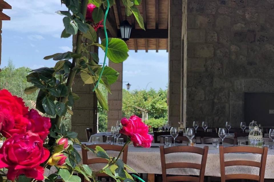 Agriturismo Eco-Bio Villa Vacasio Pitigliano Eksteriør billede